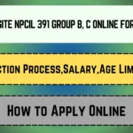 Kaiga Site NPCIL 391 Group B, C Online Form 2025_20250410_085037_0000